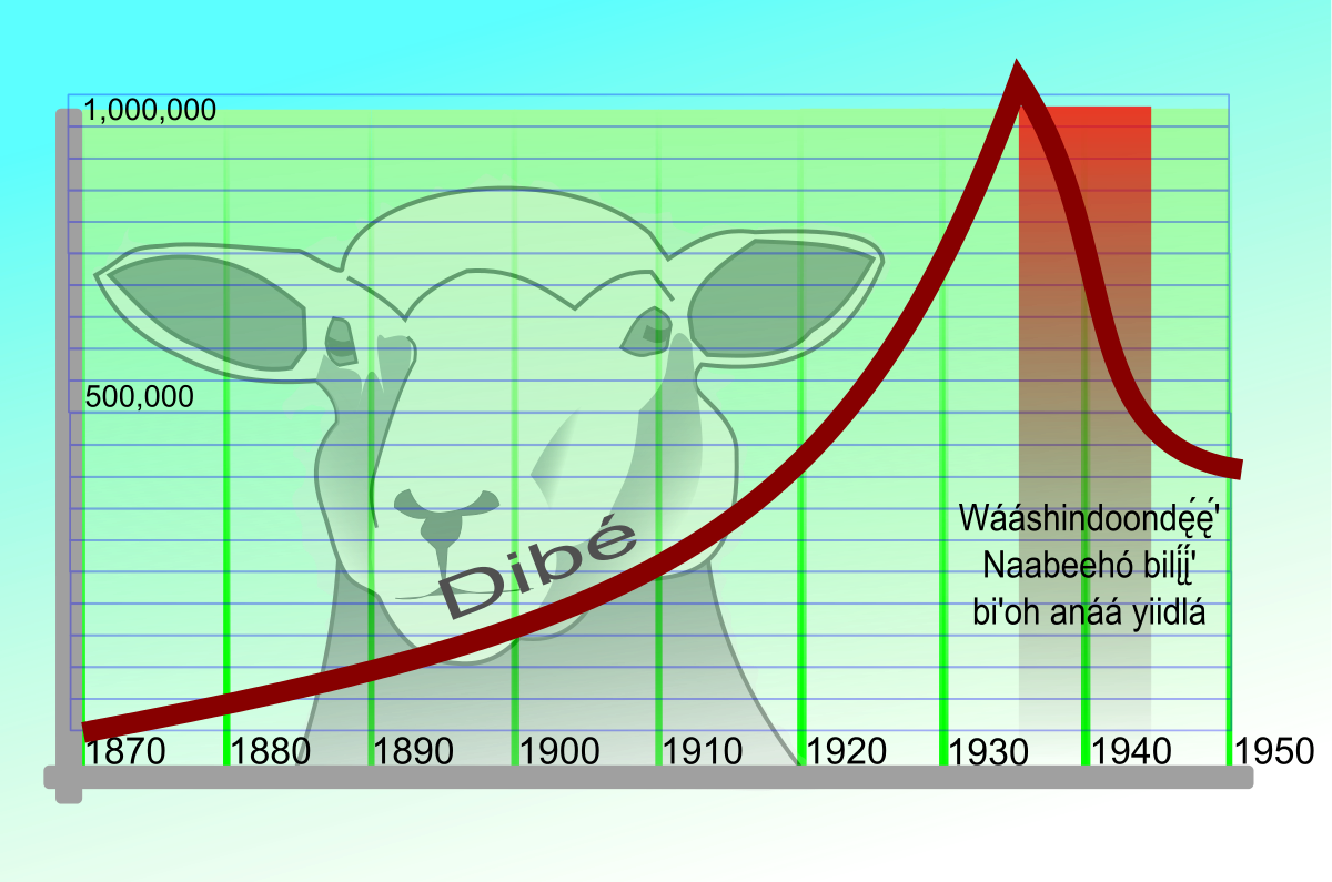 Navajo Livestock Reduction (1200x795), Png Download