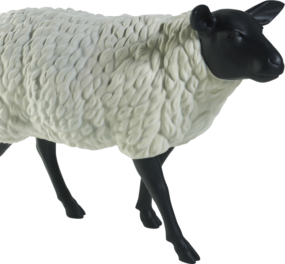 The Sheep - Sheep (908x841), Png Download