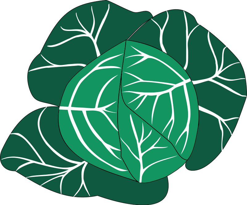 Vegetables 24 Free Vector - Cabbage Png Clipart (800x663), Png Download
