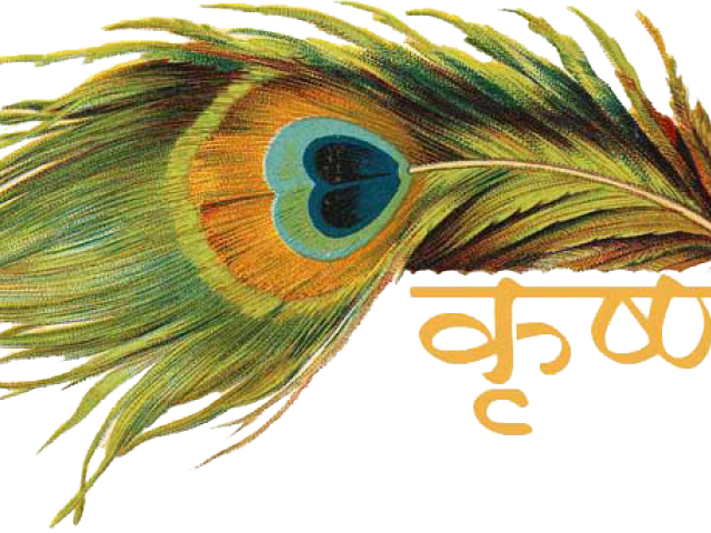Fluted Clipart Hare Krishna - Peacock Feathers With Names (640x480), Png Download
