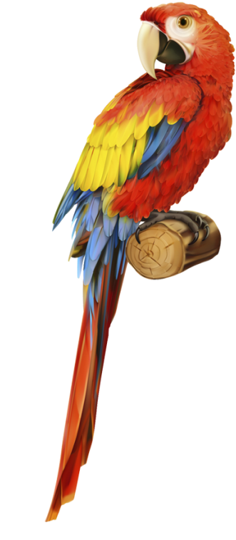 The Complete Guide To A Safari Journey In Kenya - Parrot Illustration (465x800), Png Download