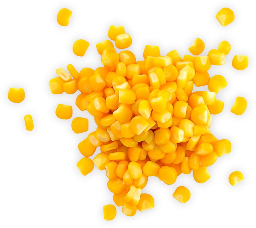 Sweet Corn - Granos De Cereales Ejemplos (1500x1500), Png Download