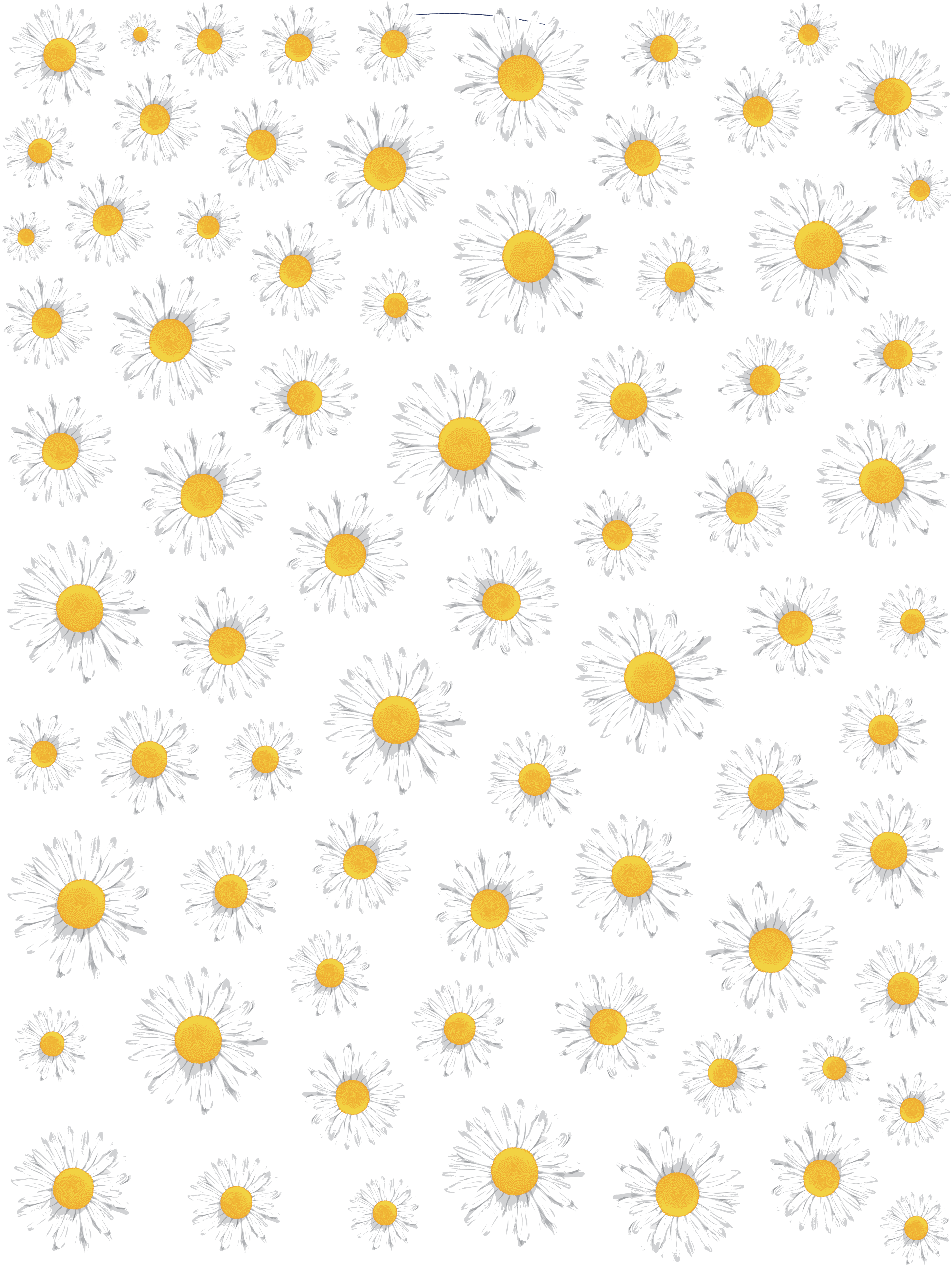#casetify #iphone #art #design #floral #flowers (3851x5120), Png Download