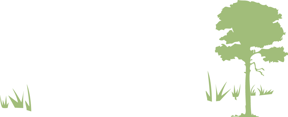 Nag Logo Text Veg - Graphic Design (1150x470), Png Download