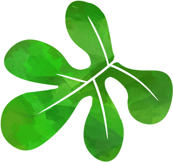 Another Green Leaf - Illustration (618x618), Png Download
