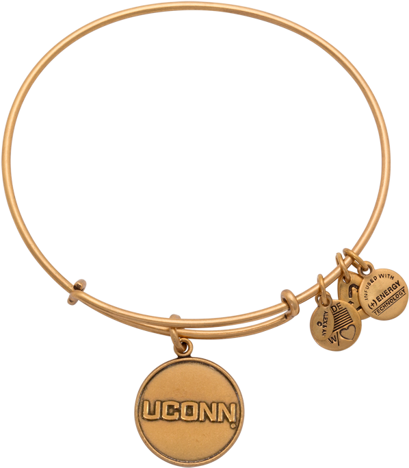 University Of Connecticut Logo Charm Bracelet - Bracelet (800x800), Png Download