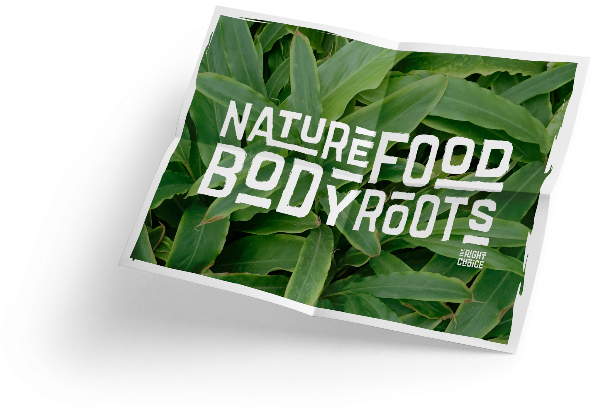 More Information - Herbal (2560x1440), Png Download