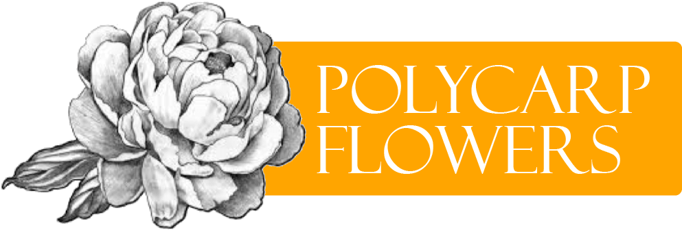 Summit, Nj Florist - Fleur De Pivoine Dessin (998x371), Png Download