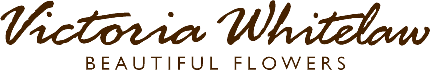 Victoria Whitelaw Logo - Calligraphy (1490x310), Png Download