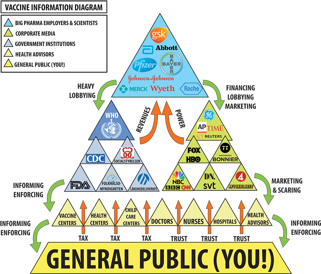 13 Alarming Scientific Studies About Vaccine Safety - Vaccine Safety (1111x942), Png Download