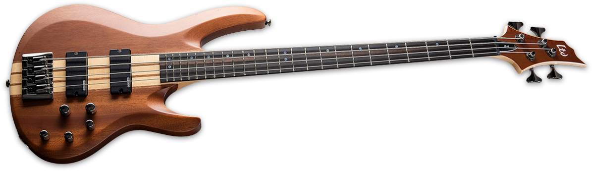 But Never Thought You Could Afford Is Right Here - Bass Guitar (1200x354), Png Download