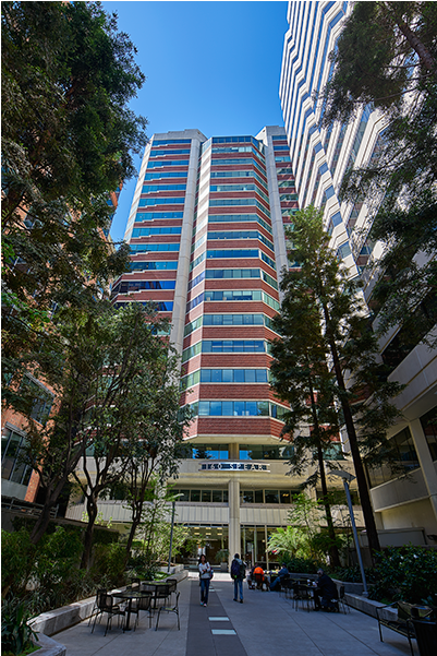 Picture of Free Printable Apartment Lease Agreement PDF & Word