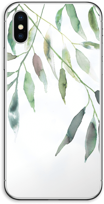 Ramas De Olivo - Iphone (395x800), Png Download