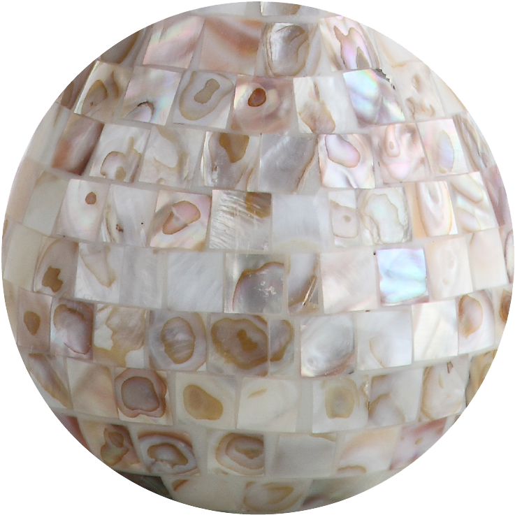 Seashell - Onyx (750x750), Png Download