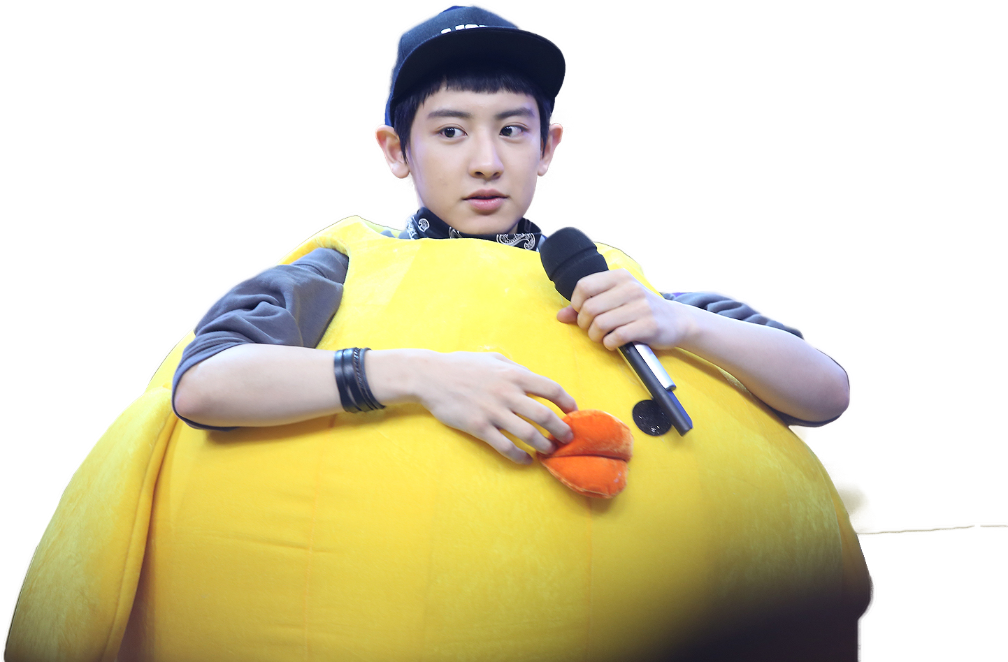 Load 15 More Imagesgrid View - Exo Duck (1500x1000), Png Download