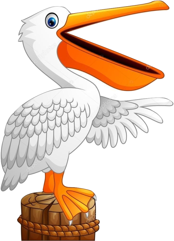 Cartoon Pelican (640x808), Png Download