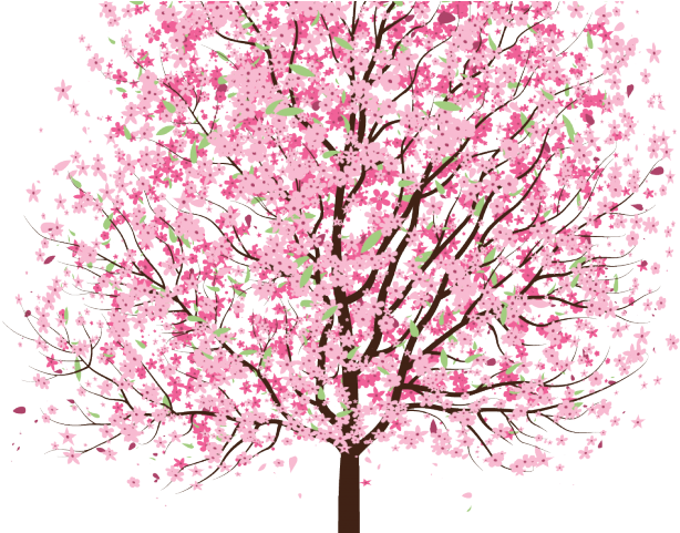 Sakura Clipart Tree - Cherry Blossom Tre3 Drawing (640x480), Png Download