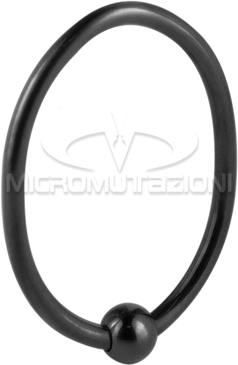 Black Steel Ball Closure Oval Ring Ear - Circle (750x750), Png Download