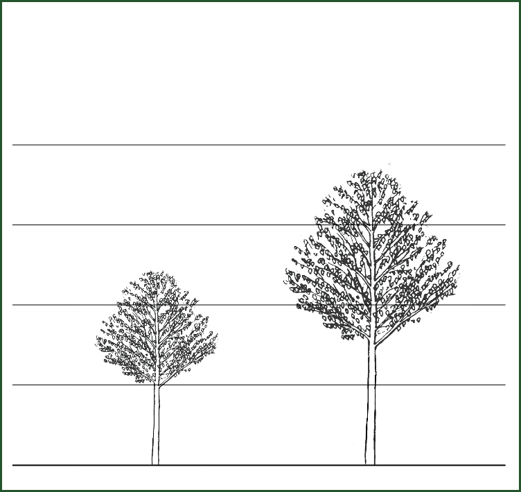 Mm106 - Line Art (752x710), Png Download