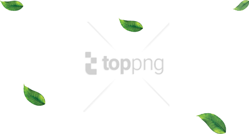 Free Png Leaf Png Image With Transparent Background - Illustration (851x457), Png Download