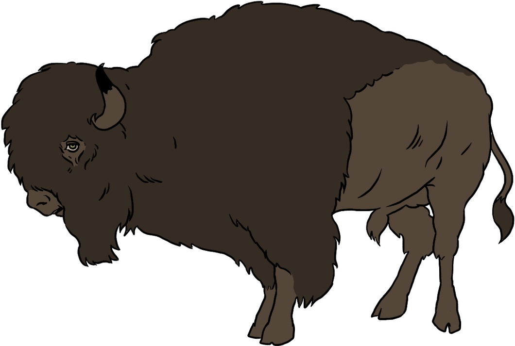 Buffalo, Bright Images - Buffalo Animated Png (1280x720), Png Download