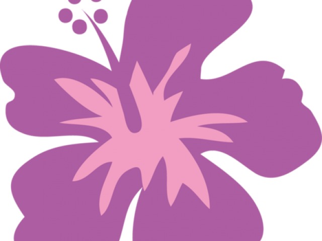 Flor Flamingo Png (640x480), Png Download