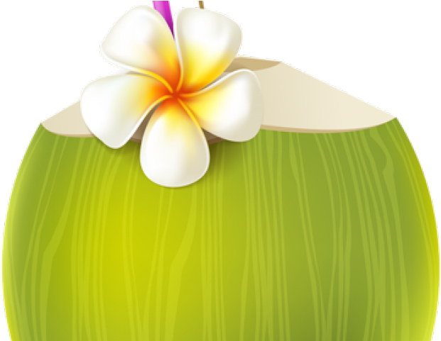 Transparent Pina Colada Clip Art (640x480), Png Download