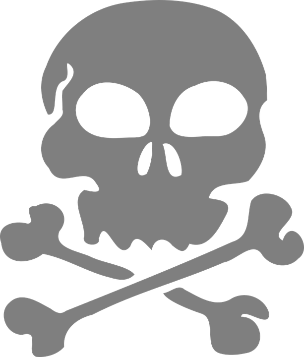 Skull, Bones, Pirate, Flag, Danger, Silhouette - Skull And Crossbones Transparent (613x720), Png Download