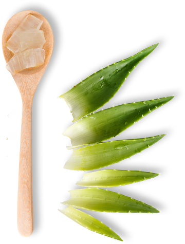 Dummy - Spoon Green Tea Png (800x800), Png Download