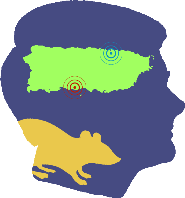 Legacy 20th Anniversary Quirk Lab - Puerto Rico Con Sus Pueblos (705x940), Png Download