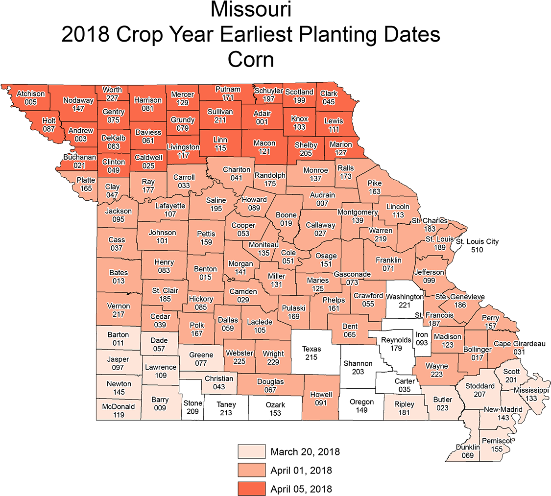 Download Mo Corn Earliest Diagram Full Size PNG Image PNGkit