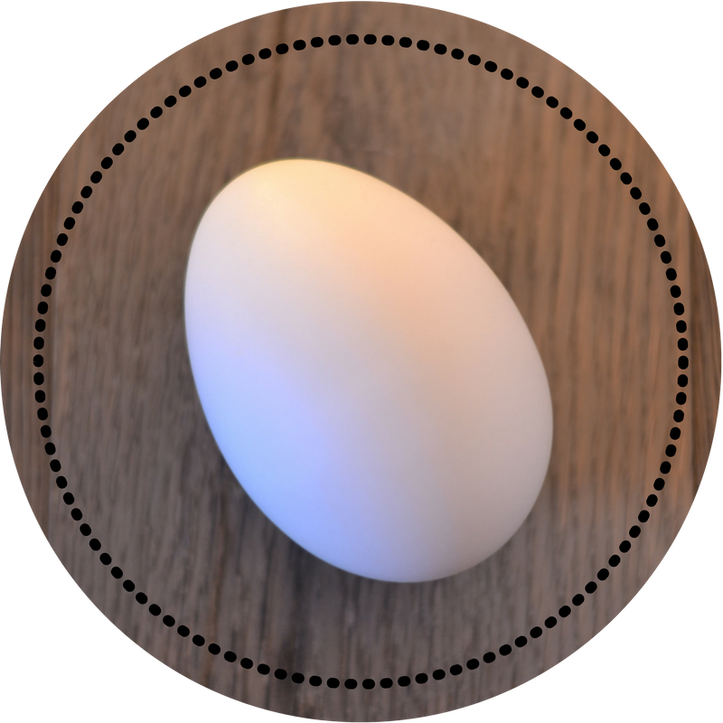 Goose Egg Wood (800x800), Png Download