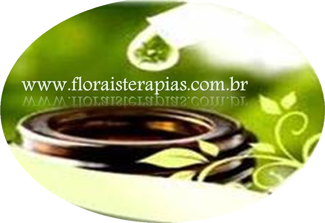 Floraisterapias - Cd (1040x720), Png Download