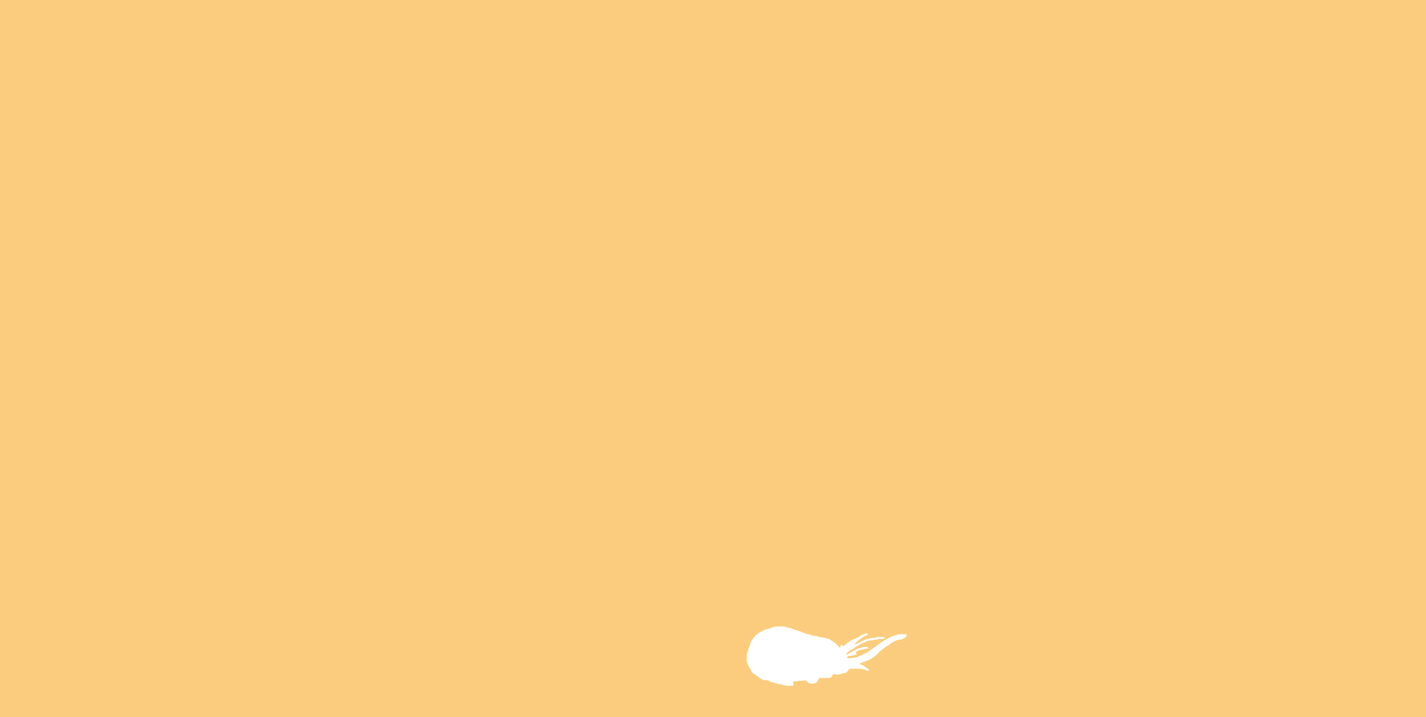 Illustration (1591x800), Png Download