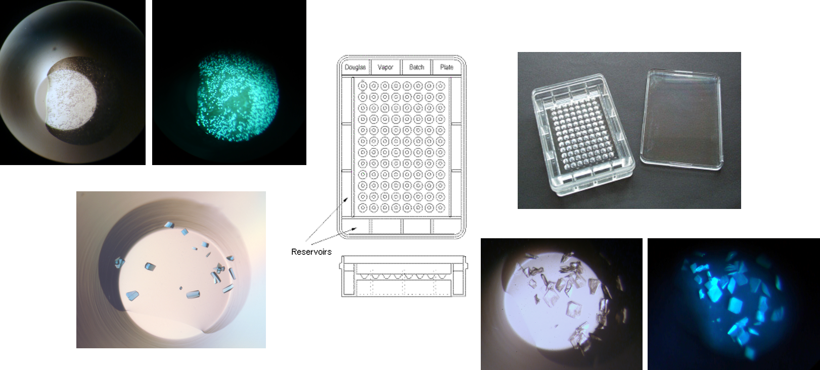 Set Up Sitting Drop And Microbatch Under Oil Experiments - Sphere (1622x733), Png Download