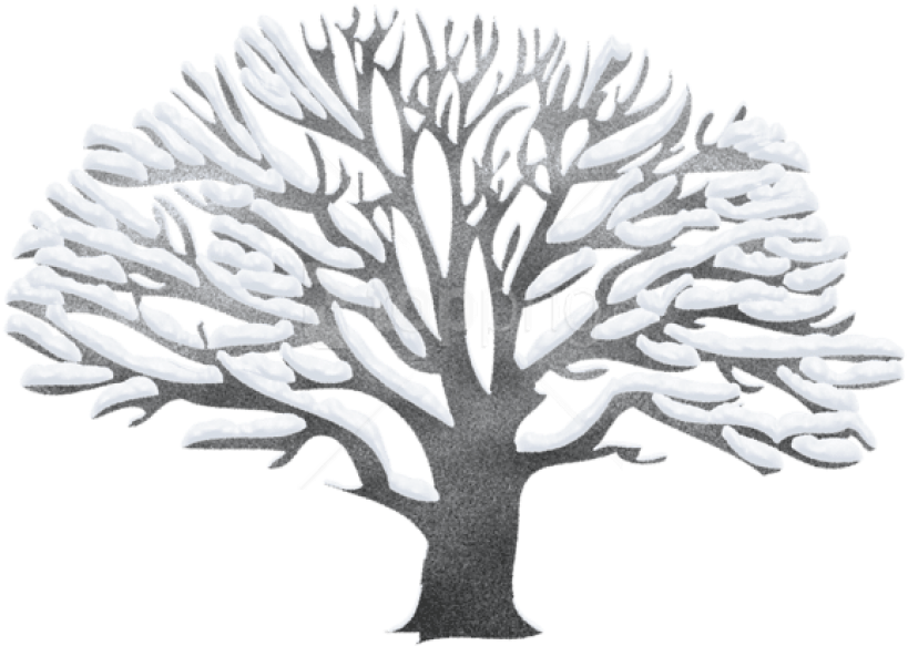 Free Png Download Winter Snowy Black Tree Png Images - Transparent Winter Tree Clipart (850x611), Png Download