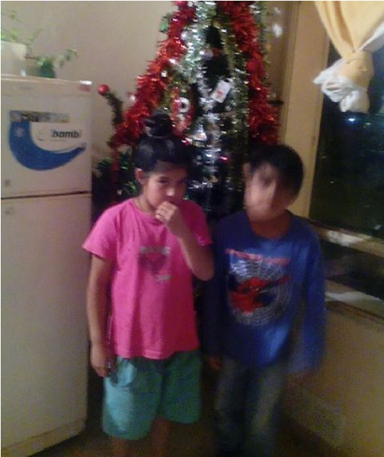 Un Nene Pidió Un Árbol De Navidad Por Facebook - Christmas Ornament (1140x640), Png Download