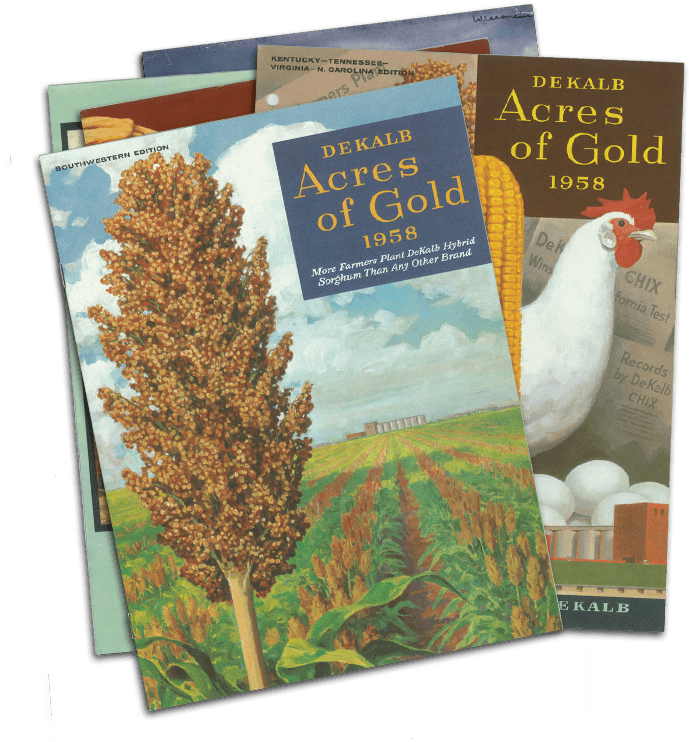 Stack Of Publications - Turkey (704x743), Png Download