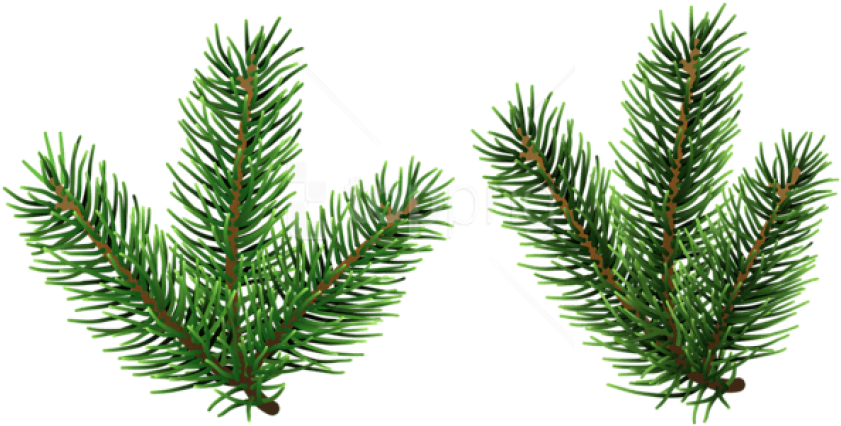 Free Png Pine Tree Branches Png Png - Christmas Tree Branches Png (850x435), Png Download