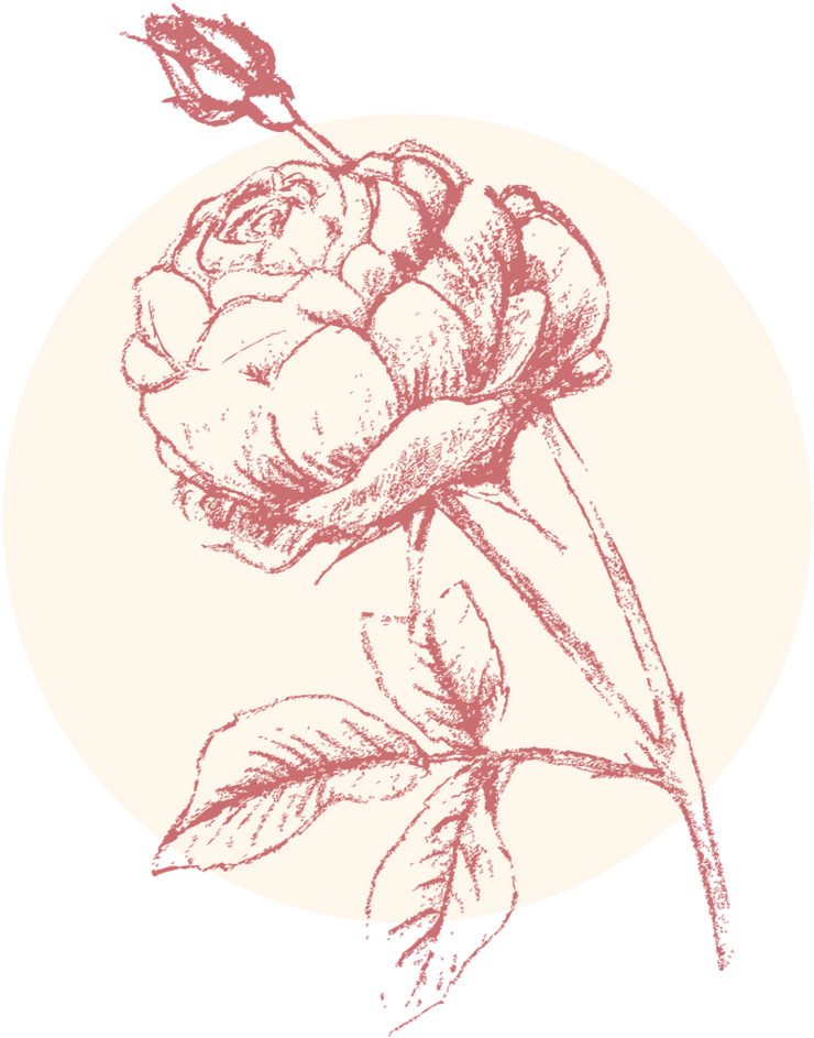 Rose Brightest - Illustration (1000x1000), Png Download