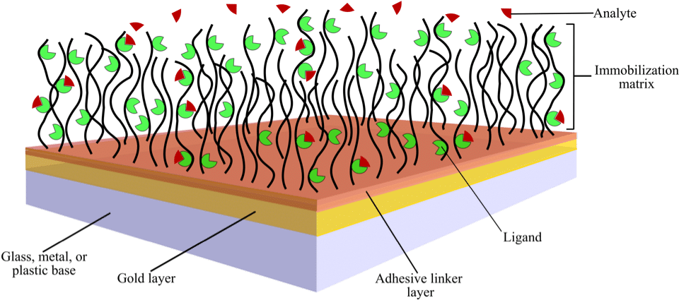 Sensor Chips For Surface Plasmon Resonance And Other - Illustration (975x429), Png Download