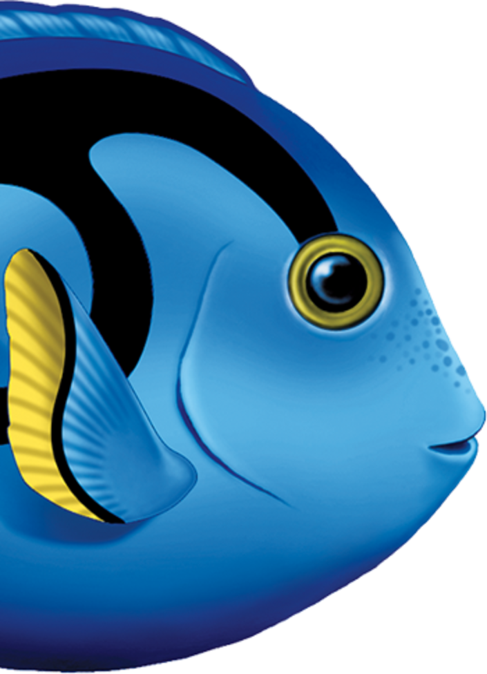 Tropical Fish Series Pool Mosaics - Blue Tang Fish Clipart (705x976), Png Download