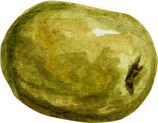 Kiwi - Granny Smith (866x650), Png Download
