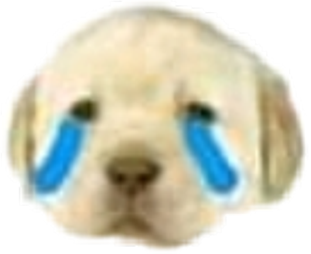 Meme Dog Sad Sticker January Lol Idk - Harbor Seal (1024x837), Png Download