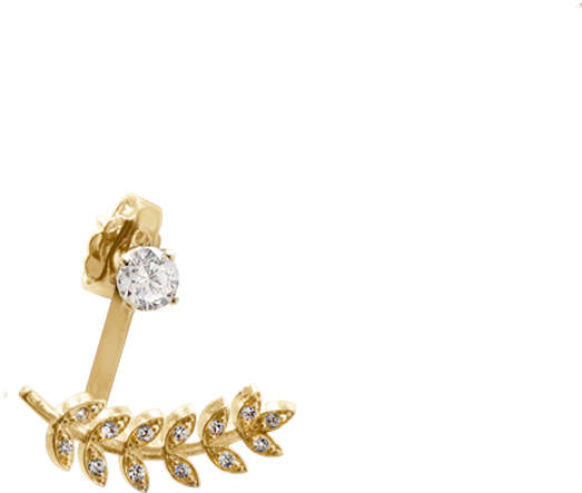 800 X 600 5 - Vine Jacket Earrings (800x600), Png Download