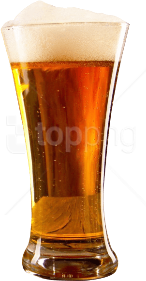 Free Png Beer Glass Png Images Transparent - Glass Of Beer Png (480x685), Png Download