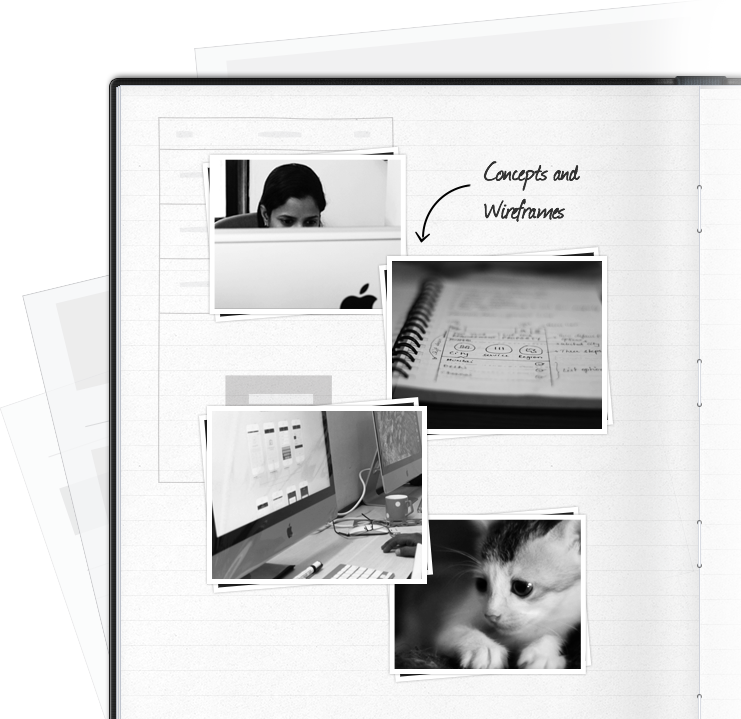 Our-approach - Kitten (741x719), Png Download