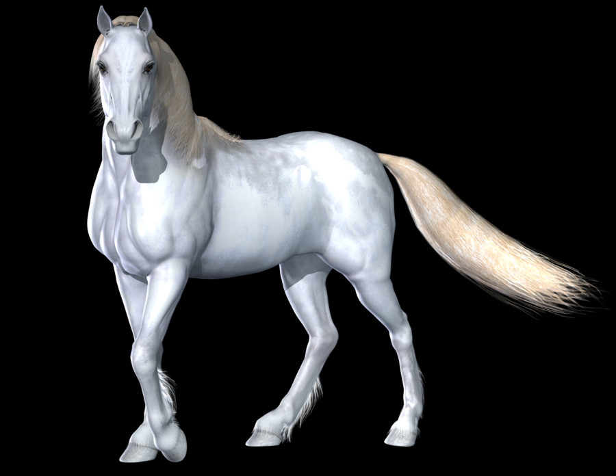 Red Dead Redemption Montado No Cavalo (900x696), Png Download