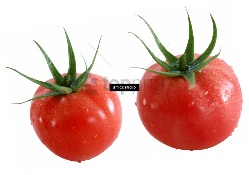 Free Png Download Tomato Png Images Background Png - Tomate Cherry (850x597), Png Download