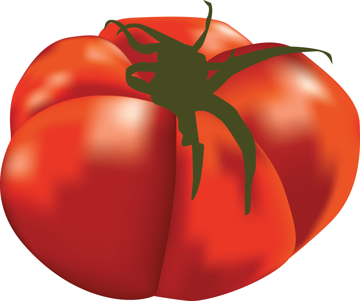 Plum Tomato (1392x1163), Png Download
